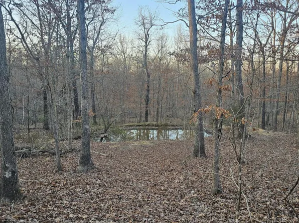 000 Reddy Hill Drive, Marshfield, MO 65706