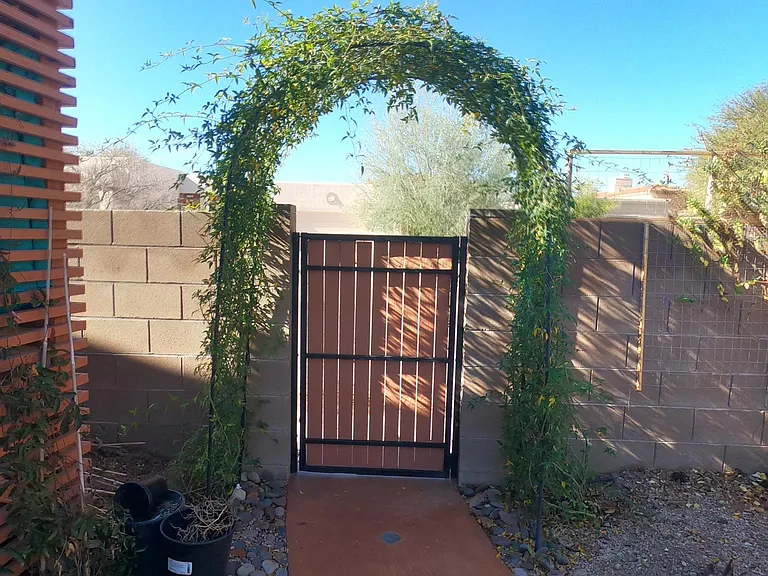 Back Gate