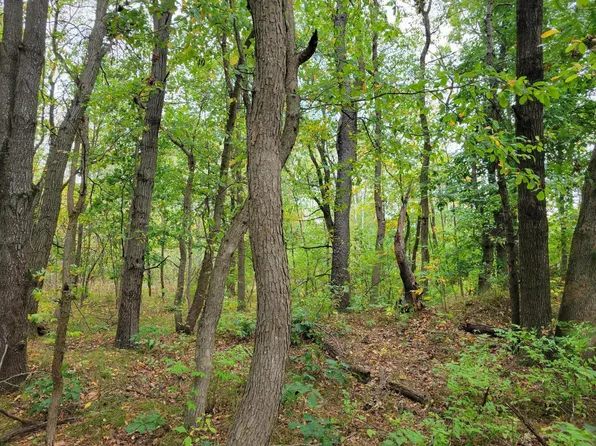 LOT 1 N 100 E, Lake Village, IN 46349