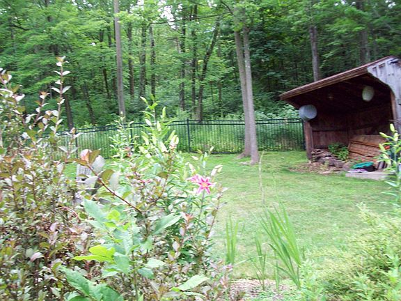 shed and backyard