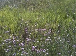 7035 Rolling Meadow Trl, Harbor Springs, MI 49740