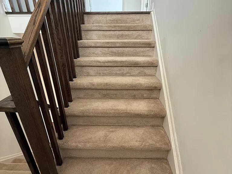 17 Casserley Cres — Photo 29