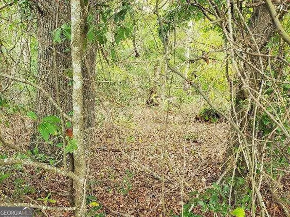 0 Cannonville Rd, Abbeville, GA 31001
