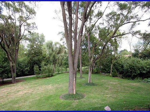 Fabulous views of yard!