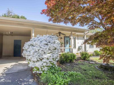 8500 Olde Colony Trl APT 16, Knoxville, TN, 37923