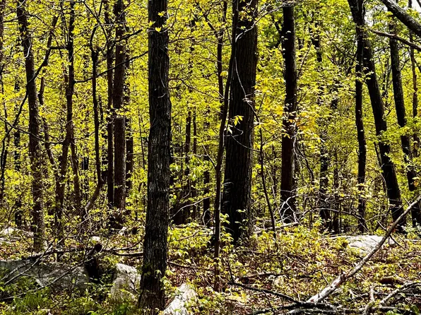 LOT 7 Huron Trl, Winchester, VA 22602