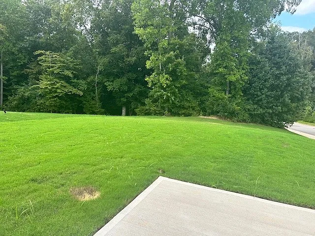 138 Favre St — Photo 9