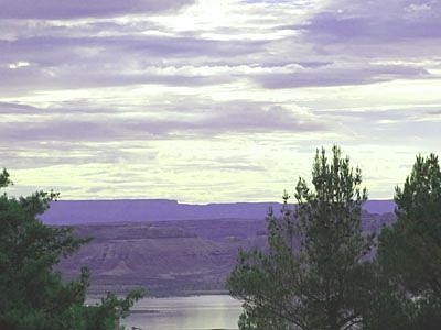 Early Morning View from Porch