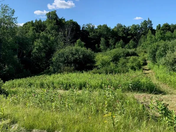 0 County Road 16, Watkins Glen, NY 14891