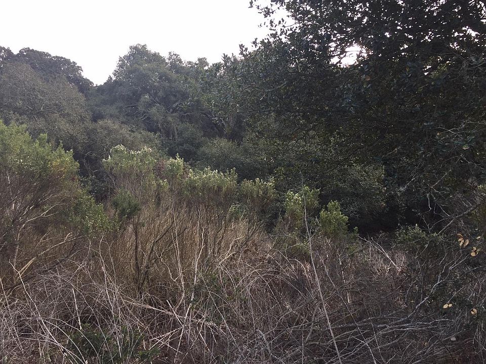 2nd image of 654 Strawberry Canyon Rd
