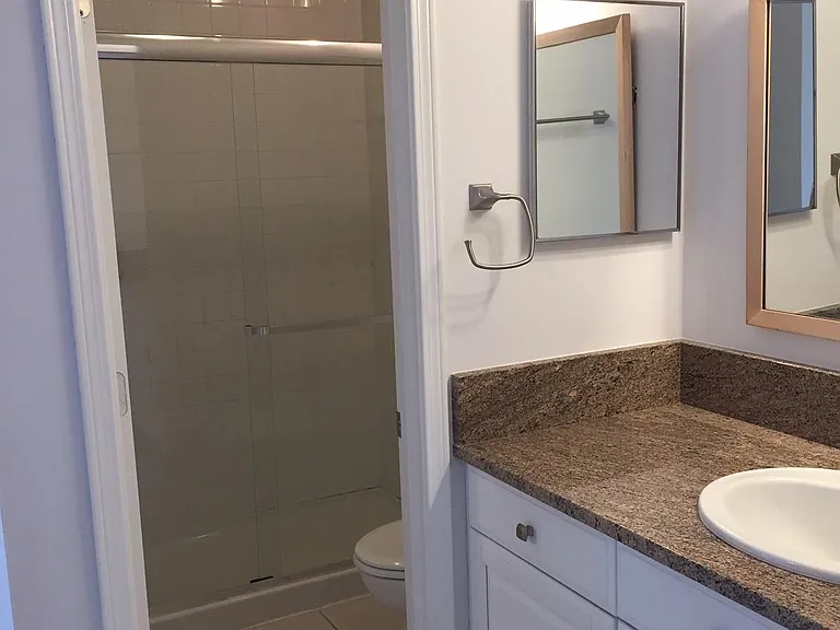 Master Toilet and Walk-in Shower