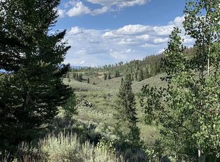 307 Blue Mesa Drive, Powderhorn, CO 81243