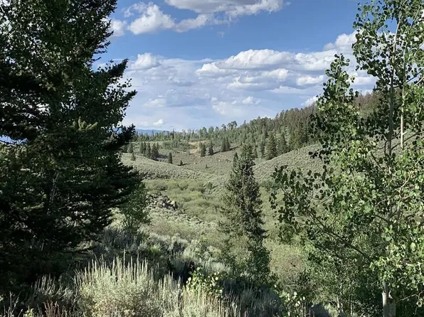 738 Blue Mesa Drive, Powderhorn, CO 81243