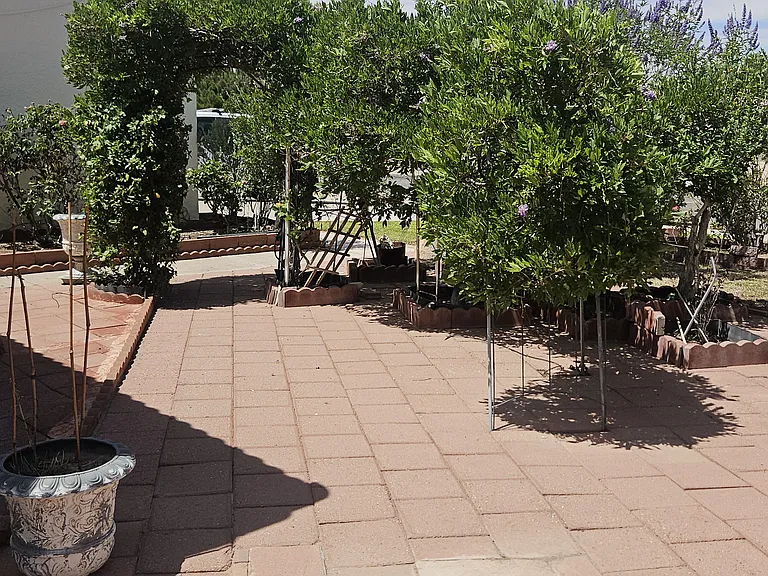 650 Frontier Dr — Photo 19