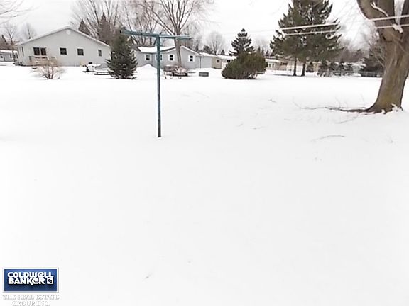 Large Back Yard