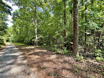 LOT 6 Raby Hollow Rd, Kingston, TN, 37763
