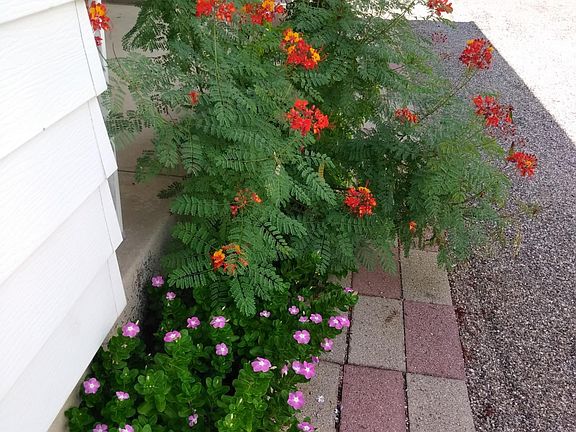 Appealing landscaping