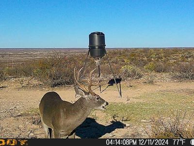 6 Rock House Rd #6, Dryden, TX, 78851