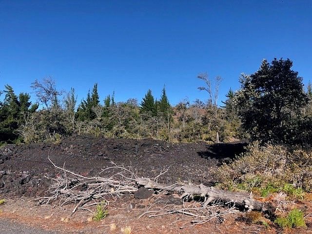 2nd image of Lot 26
