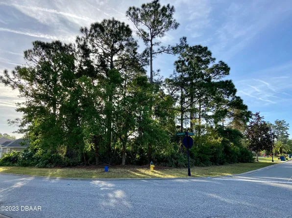 2716 Autumn Leaves Dr, Port Orange, FL 32128