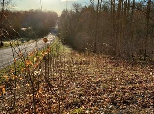 0 Valley Rd LOT 1-A, Alanson, MI 49706