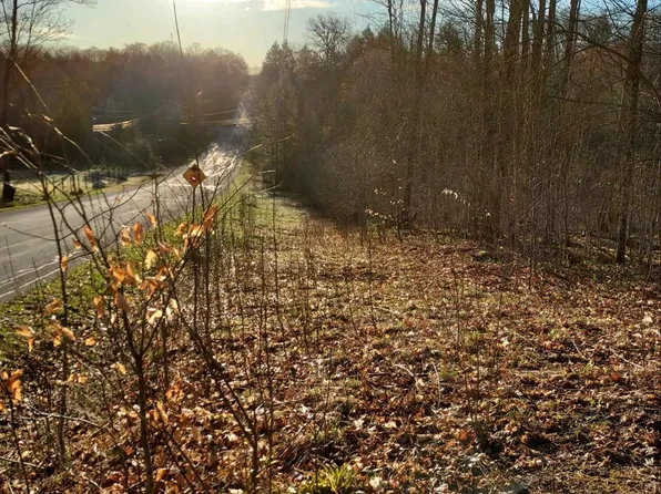 0 Valley Rd Lot 1-A, Alanson, MI 49706