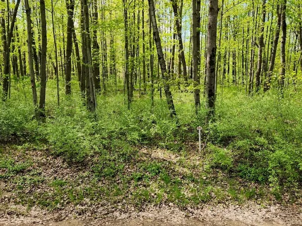 10904 Thornapple Dr, Stanwood, MI 49346