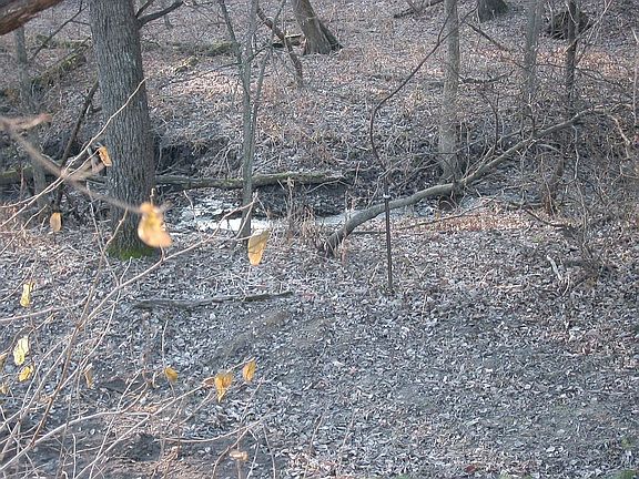 small stream all year