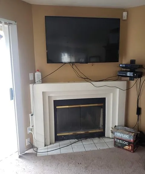 Living Room Fireplace (in great condition)