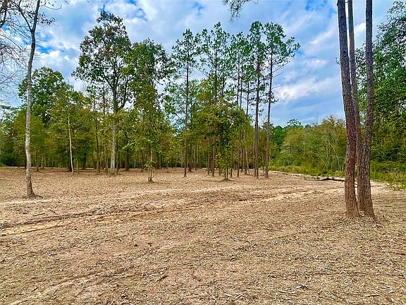 5th image of 11766 Grand North Rd Lot 9
