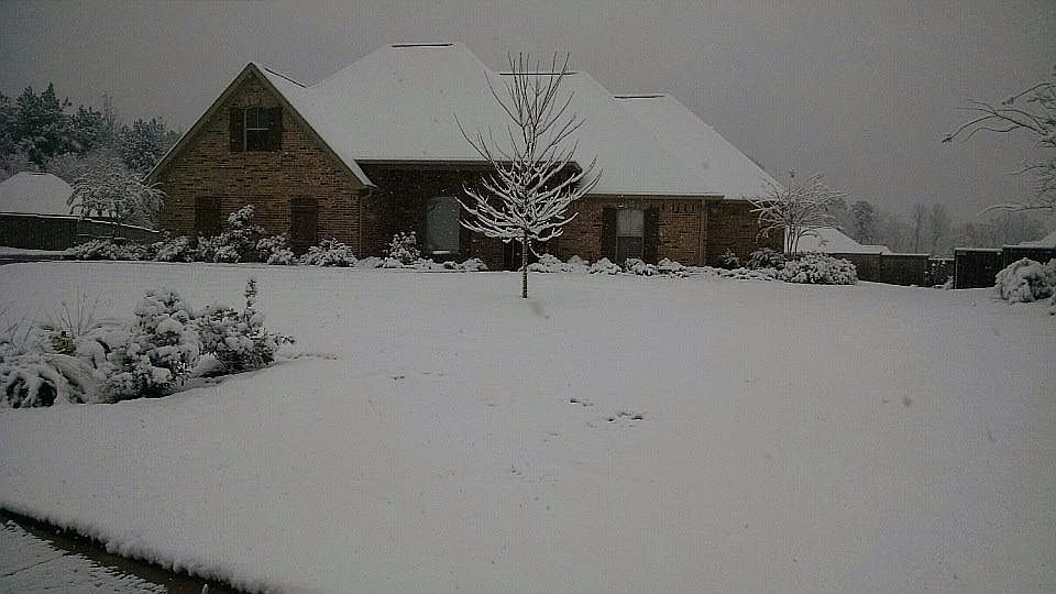 2nd image of 819 Osagian Cir