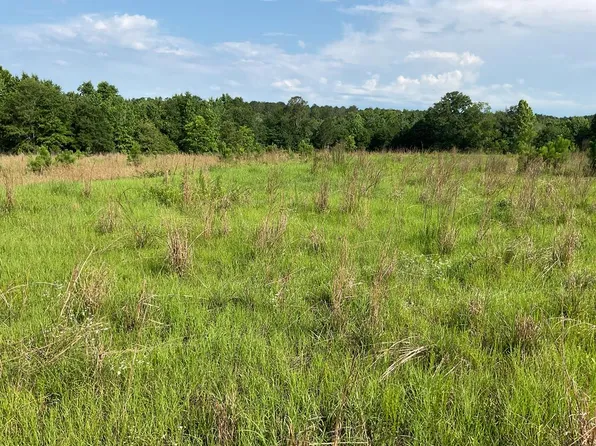 220 Pierce Rd, Honoraville, AL 36042