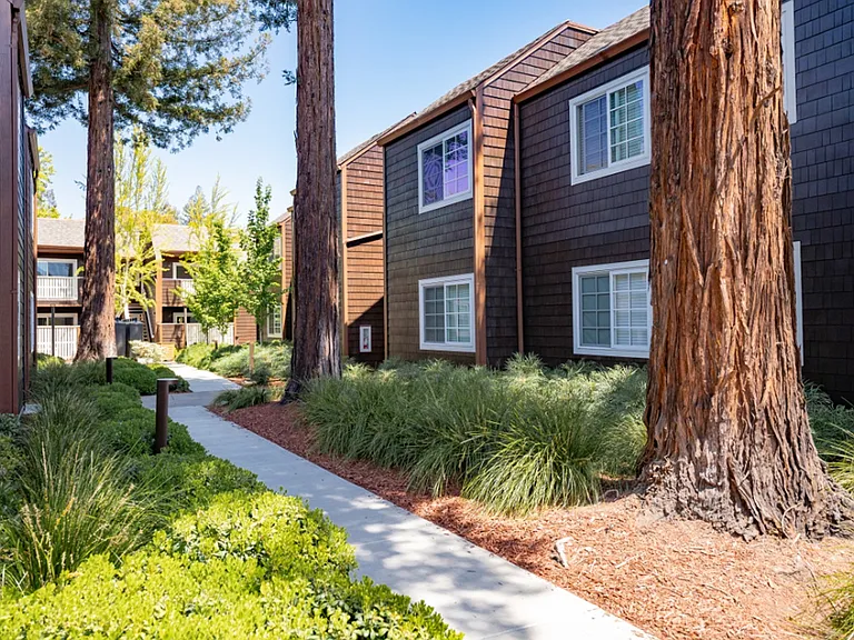 Grove Apartments — Photo 41