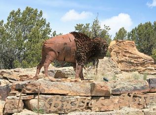 15798 Buffalo Mdws, Buena Vista, CO 81211