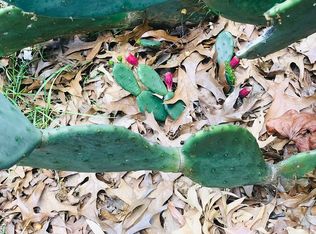 1931 Chaney St, Columbia, SC 29204