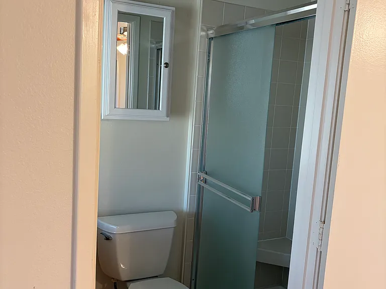 Shower in primary bath
