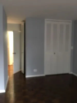 Rented by Manhattan Flats | media 17