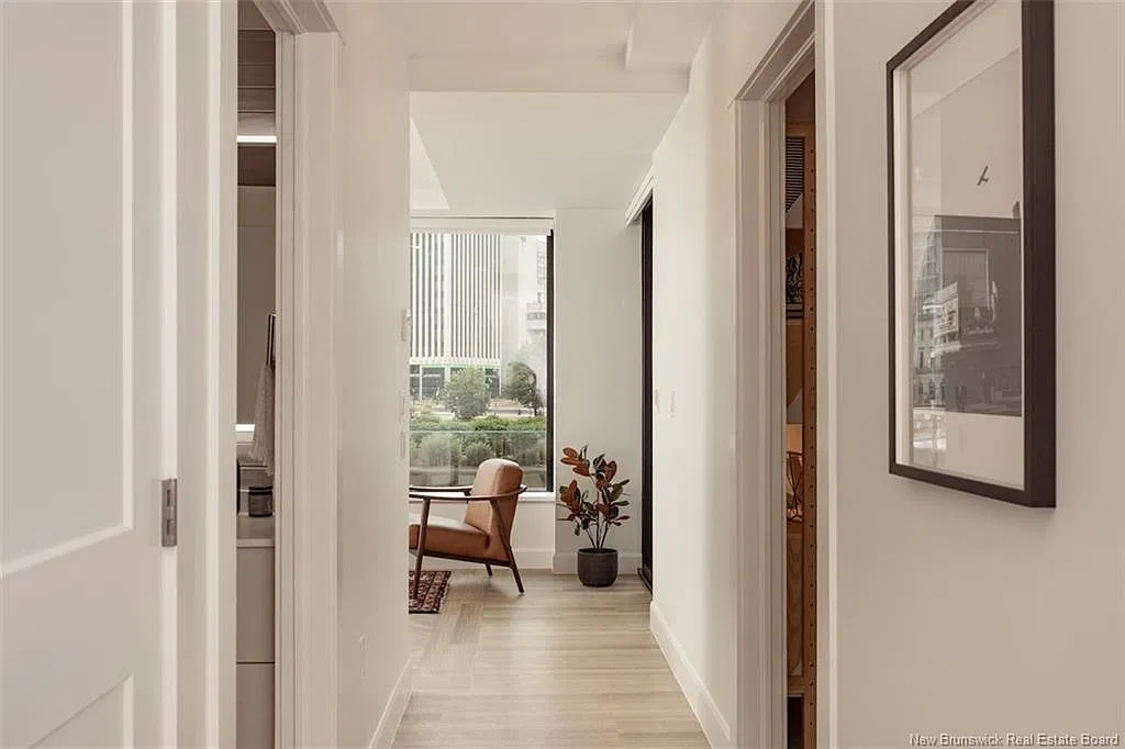2 bed, 1.0 bath, 794 sqft, $4,300 — Photo 3