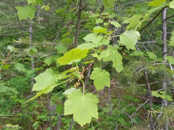 4th image of NO Street Address
