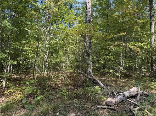 Horse Creek Rd, Jamestown, TN 38556