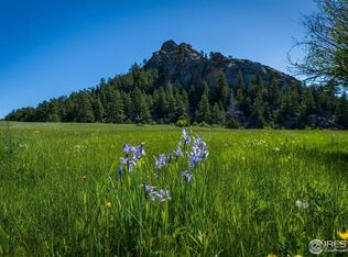 Mountain Pony Rd, Livermore, CO 80536