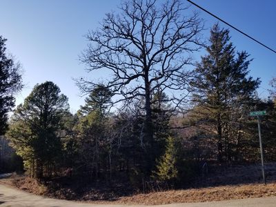 000 Greenbriar Road, Gainesville, MO, 65655