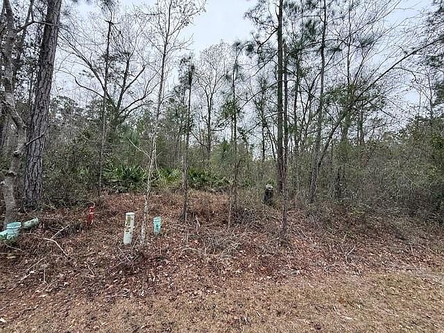 1st image of V/l Satilla River Lndg Lot 104