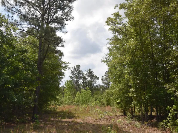 Hawthorne Dr, Kingstree, SC 29556