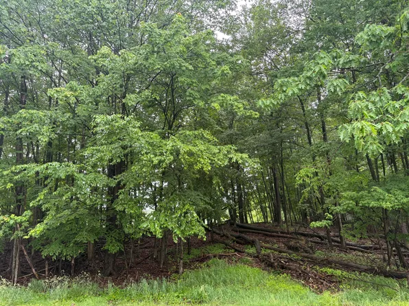 Treasure Lake Rd Lot 44, Du Bois, PA 15801