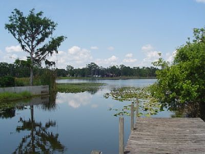 Lake from the Yard