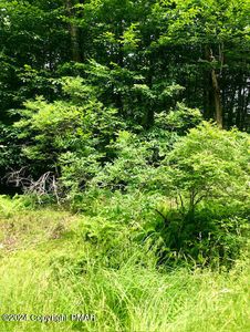 Pontiac Path Lot 34, Pocono Lake, PA, 18347
