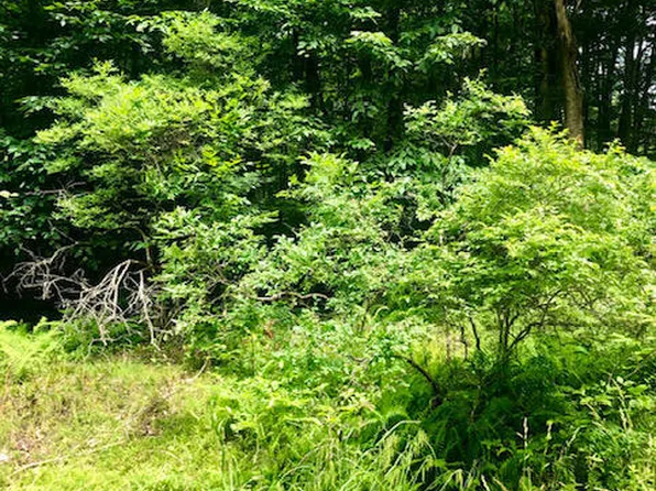 Pontiac Path Lot 34, Pocono Lake, PA 18347