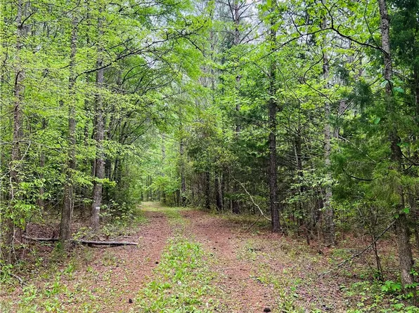 0 County Road 23, Lafayette, AL 36862
