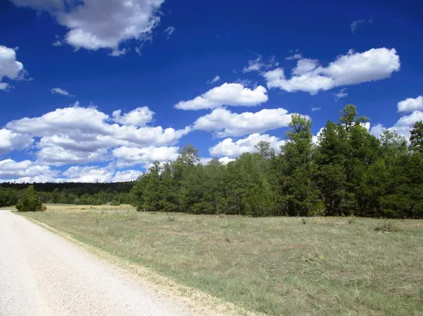 5 Copperweed Rd, Ramah, NM 87321